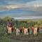 Pakulala Safari Camp - Ngorongoro