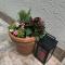Apartment Bozena Krk