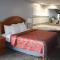 American Inn and Suites Ionia