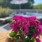 Studio apartment Dalmatia