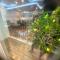 SHP Plaza Khanh Phong Homestay