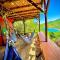Tamarindo Beach hostel