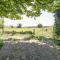 Meadow View