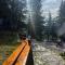 Whispering Pines