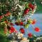 Rustic Holiday Home Miketa