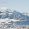 Apartment in Maishofen near Ski Slopes