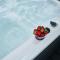 Historical Luxury Homes - Stadtvilla mit Jacuzzi und Garten