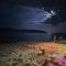 Vlore Beach Home