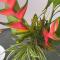 Studio Hibiscus