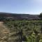 Pervolaris Cottages 1