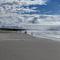 Coastal Drift - One - Small dogs are welcome however a pet fee applies