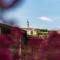 Rooms&Vinery Bregovi - Sobe in vinska klet Bregovi