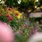 Rooms&Vinery Bregovi - Sobe in vinska klet Bregovi
