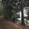 26 Alpine Avenue
