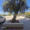 Casale Marcalia - bed & breakfast