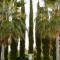 Argaka Luxury Residence