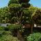Argaka Luxury Residence