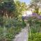 Atalanta Wentworth Falls