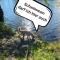 Tiny House - Auszeit im Wald am Badesee