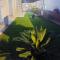 Privlaka Holiday House