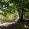Suxen nature experience - lodge con vista panoramica