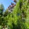 Apartments Delfin