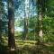 Domek na Kaszubach, Borowy Młyn, jezioro Gwiazda, sauna, 3