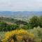 Poggio La Grognola