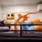 Mad Monkey Backpackers Kings Cross