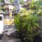 Santa Fe Homestay & Warong Santa Fe Homestay & Warong