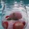 Palmitas Hostel with tropical garden & pool