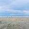 2 Bedroom Brand New Apartment Mc Kenzie 2 minute to the Mc Kenzie Beach