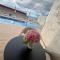 Iart Residence