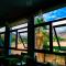Hotel Los Sauces