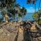 Bufo Alvarius Sanctuary Bacalar
