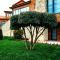 Hill Chalet Hotel Gabala