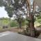 Olive & Pinetree House