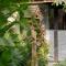 Scenic Mountain Ecolodge Ninh Binh