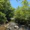 Camping-Baven-Toven Naturae