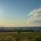 Danube Hills 319