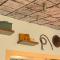 Safari Adventure: Arcade, Golf, Playground, Cars & More!