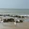 Relaxing Escape in Knokke