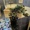 Sunflower - 3 bedroom spacious apartment, Peyia
