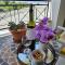 Sunflower - 3 bedroom spacious apartment, Peyia