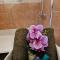 Sunflower - 3 bedroom spacious apartment, Peyia