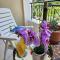 Sunflower - 3 bedroom spacious apartment, Peyia