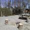 Linville Falls Campground, RV Park, and Cabins - Linville Falls