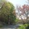L'horta photo 17