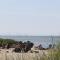 Lomma Camping