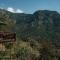 Olive Garden Kabak